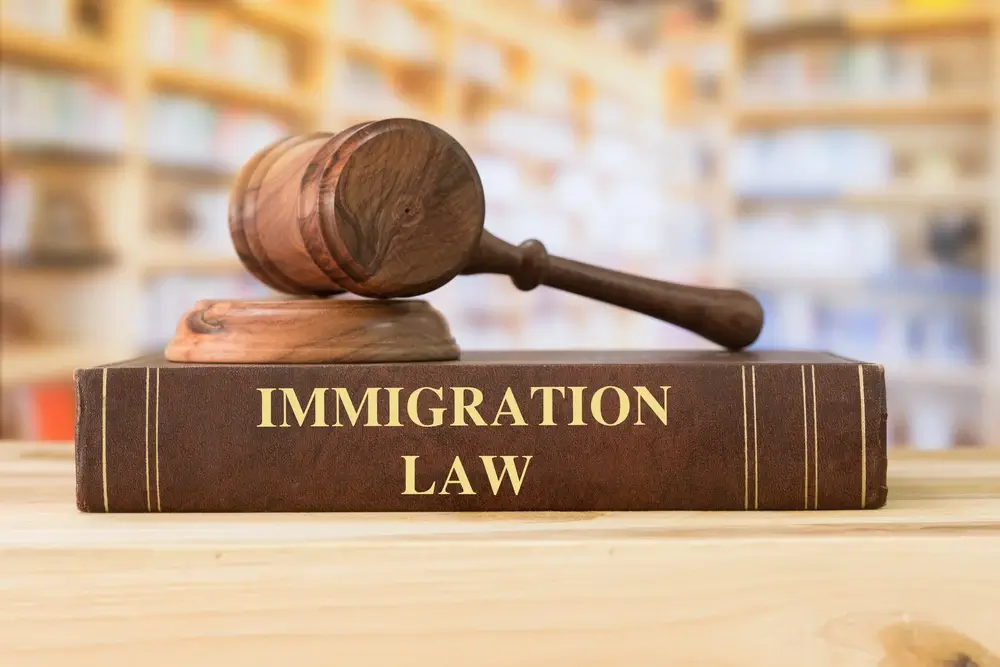 Immigration law