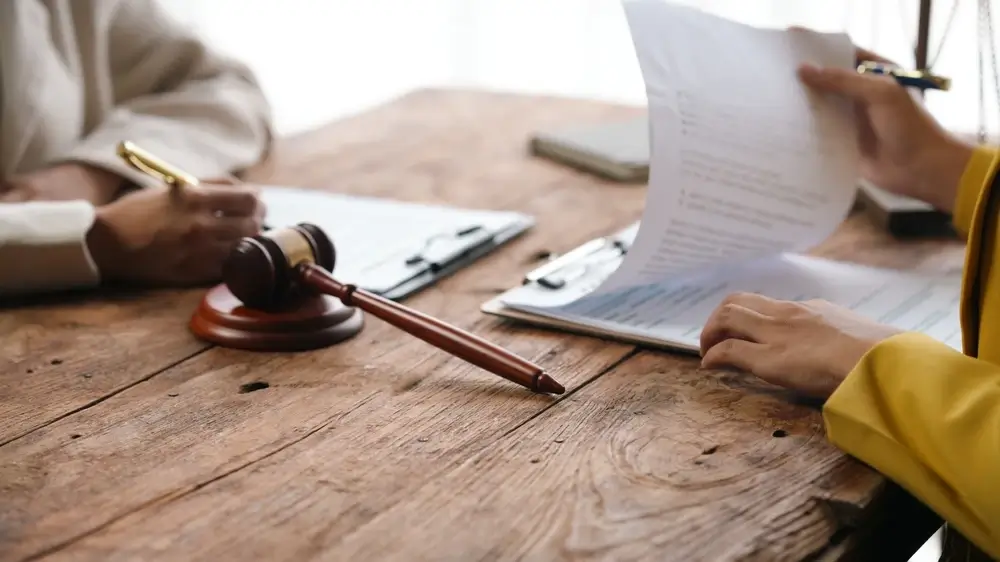 Immigration lawyers